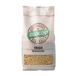 Trigo Sarraceno Eco 850g Biocop